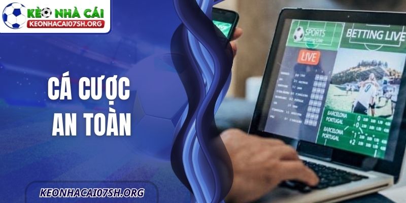 Cá Cược An Toàn - Đọc Thông Tin Bóng Đá Không Rủi Ro