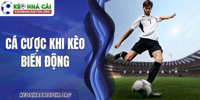 Cá Cược Khi Kèo Biến Động Và Cách Xử Lý Thông Minh